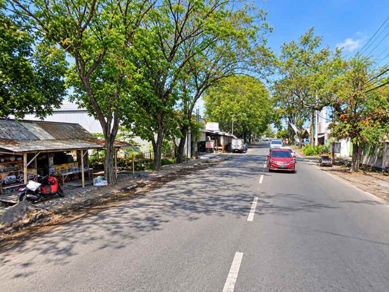 disewakan lahan di lumajang