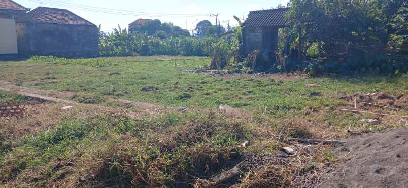 disewakan tanah darmasaba badung bali