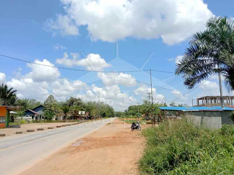disewakan tanah jalan trans kalimantan