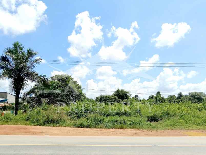 disewakan tanah jalan trans kalimantan
