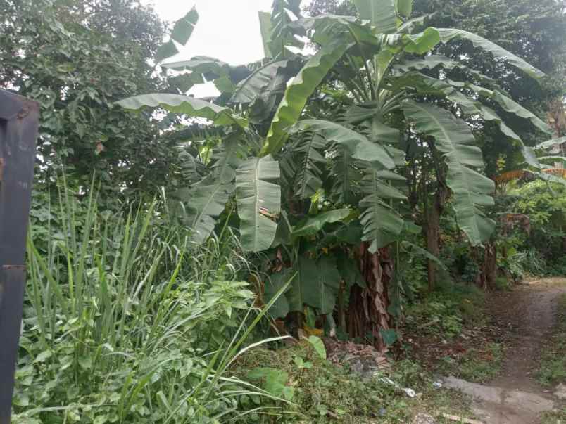 jual tanah murah di bawah njop mampang depok