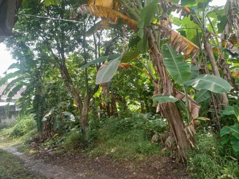 jual tanah murah di bawah njop mampang depok