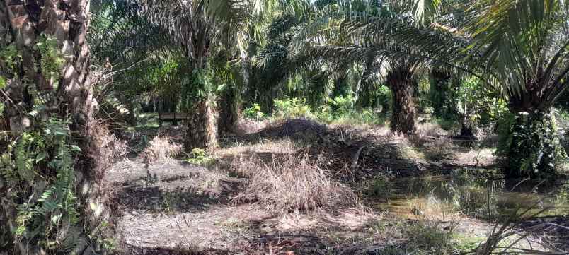 jual tnah pggr jlnraya kompleks pabrik baja