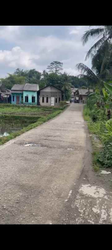 jual villa 4 km dari univ ipb bogor