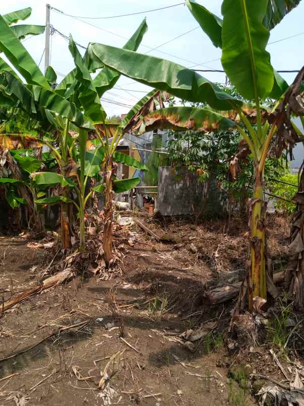 kavling dijual shm rowosari tembalang