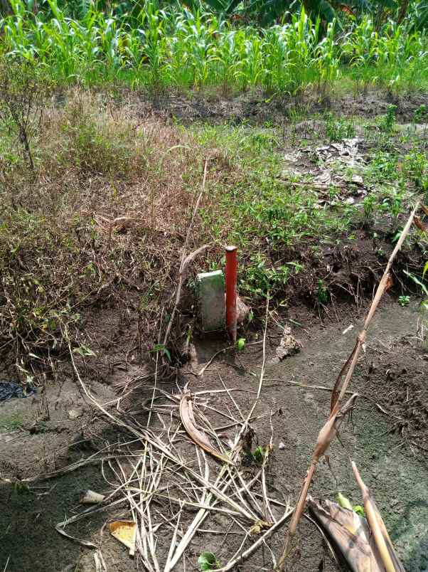 kavling dijual shm rowosari tembalang
