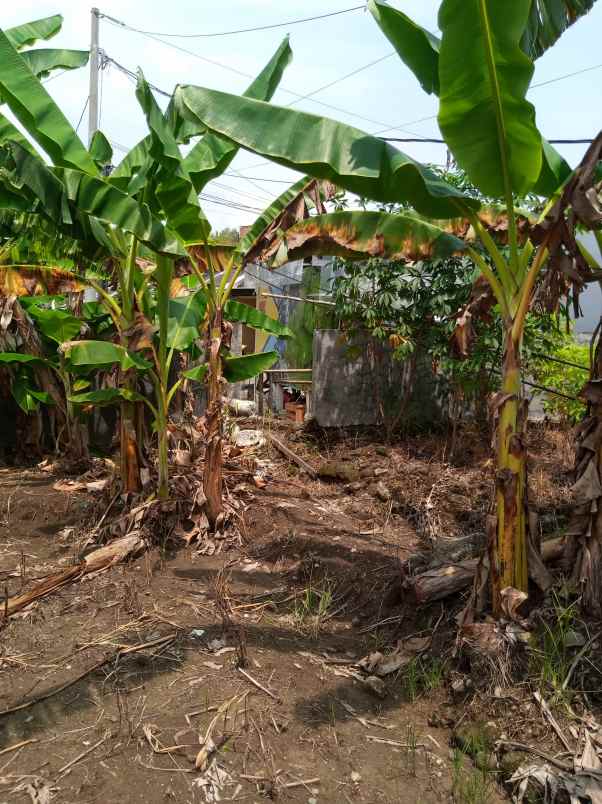 kavling dijual shm rowosari tembalang