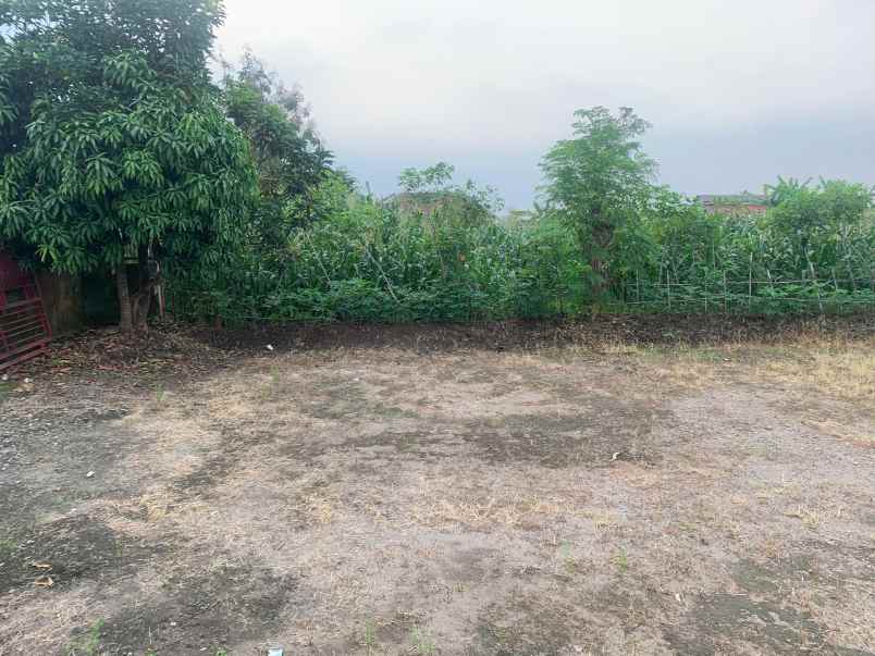 lahan 0 jln cor cck buat kandang ternak