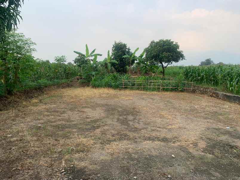 lahan 0 jln cor cck buat kandang ternak