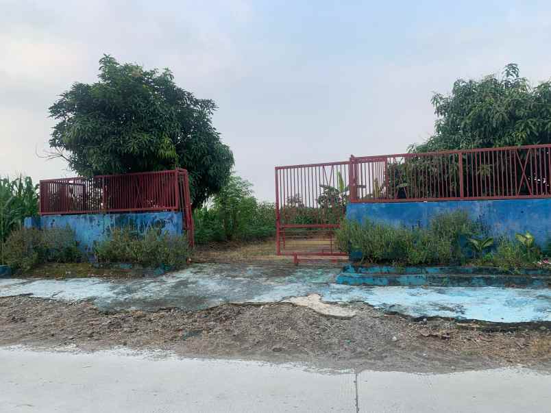 lahan 0 jln cor cck buat kandang ternak