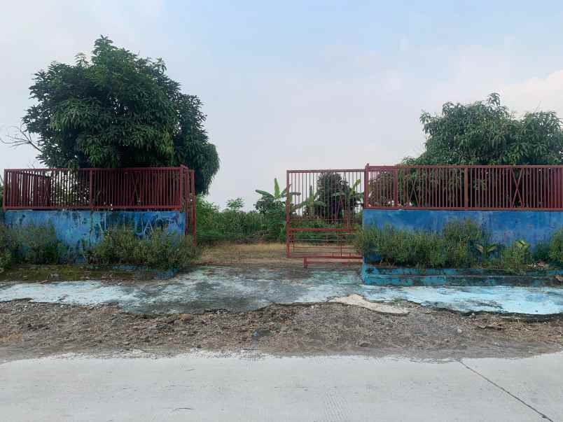 lahan 0 jln cor cck buat kandang ternak