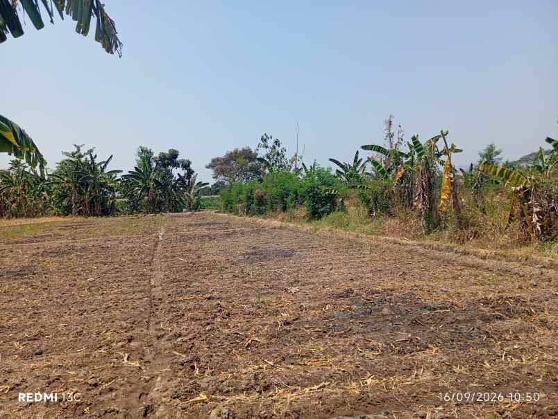lahan industri 13 ha klaten tepi jl nasional 750rb m2
