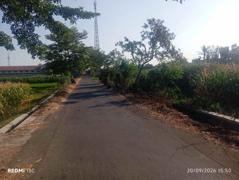 lahan perumahan 1 1ha lokasi klaten strategis 550rb m2