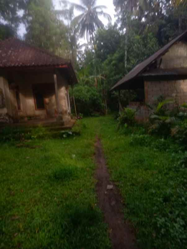 land for leasehold in kedewatan ubud with jungle views