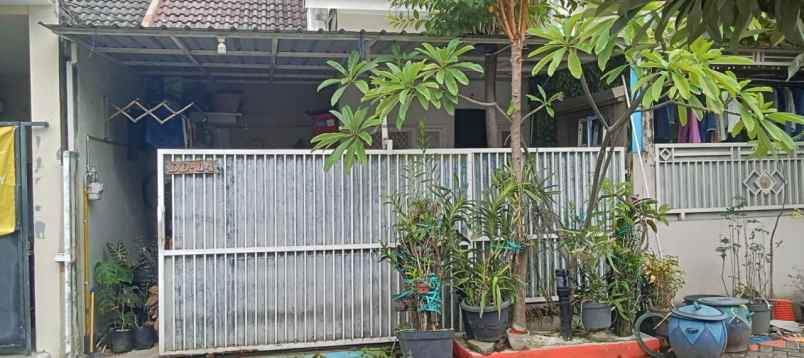 rumah dijual cepat di surabaya timur