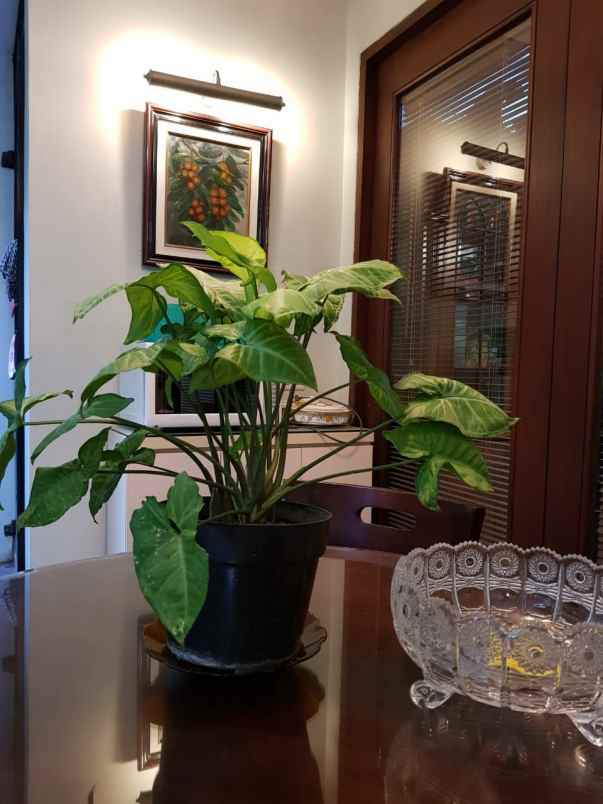 rumah pondok gede bekasi jawa barat