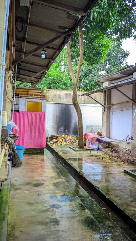 rumah usaha ruko 1 lantai raya sidakaton tegal nego