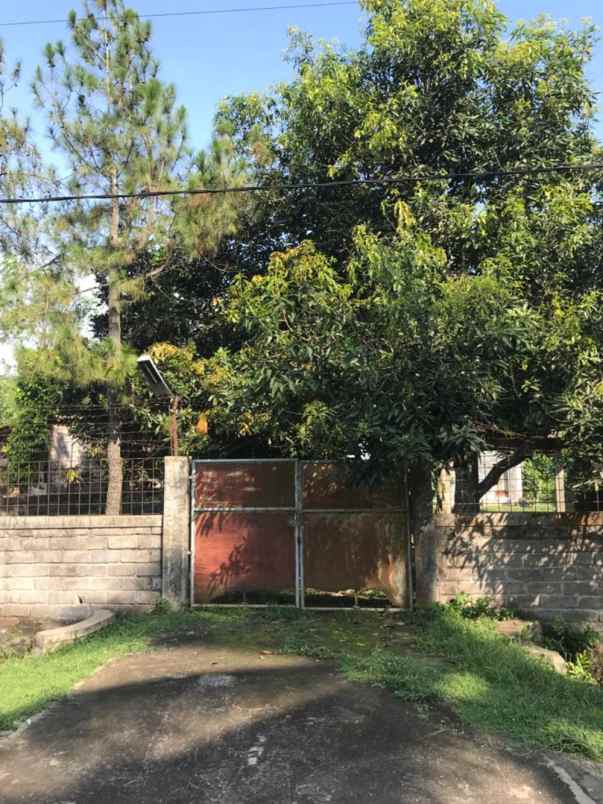 rumah walet tanah di tukadaya melaya bali