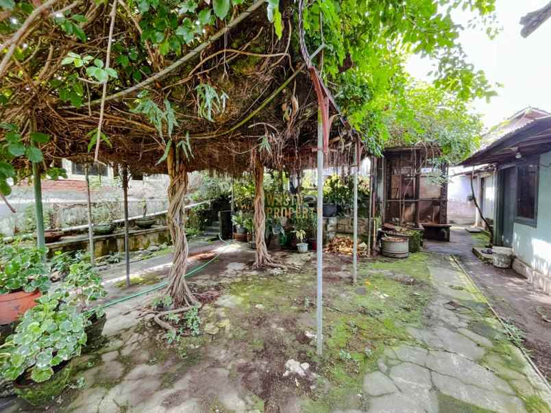 rumah warisan budaya milik pribadi di yogyakarta