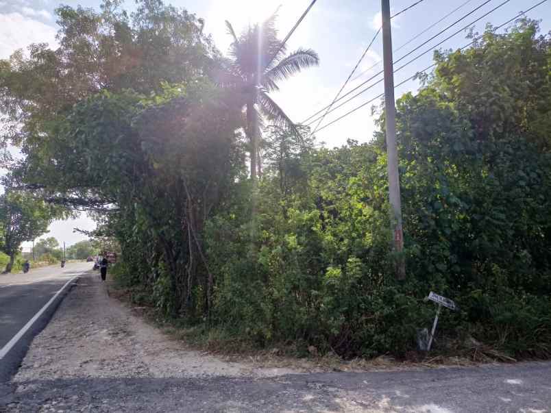 strategis 831 m dekat pantai jalan raya