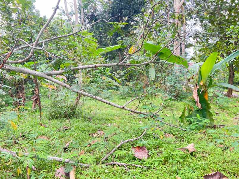 tanah 135 juta siap bangun rumah karanganyar