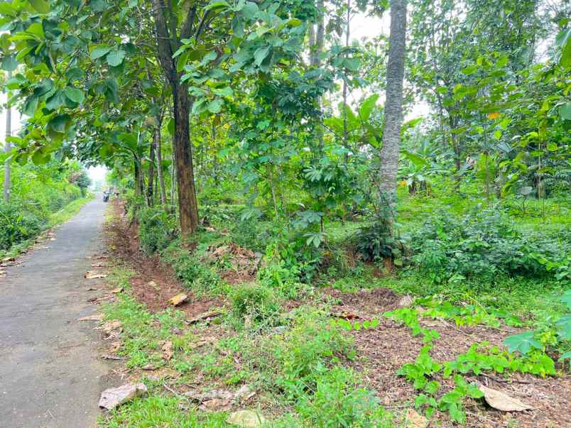 tanah 135 juta siap bangun rumah karanganyar