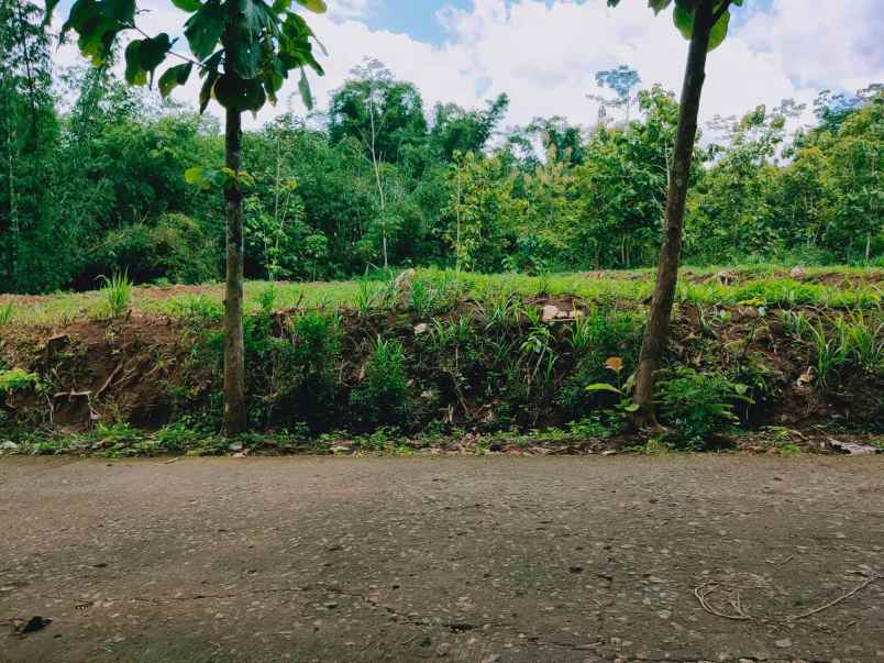 tanah barat pasar mojogedang