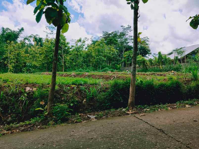 tanah barat pasar mojogedang