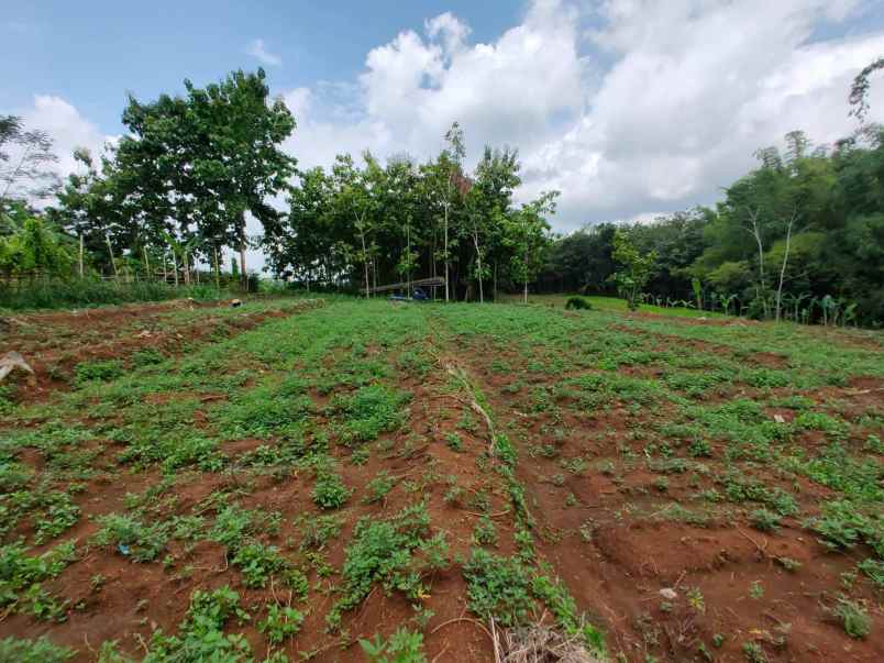 tanah barat pasar mojogedang
