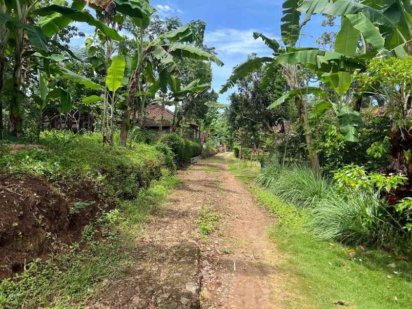 tanah datar 3600m udara sejuk karanganyar