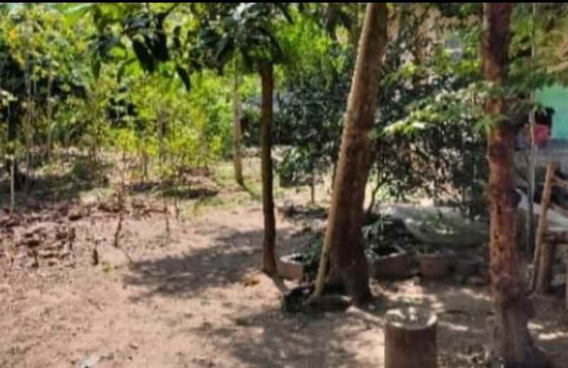 tanah datar strategis jaten karanganyar