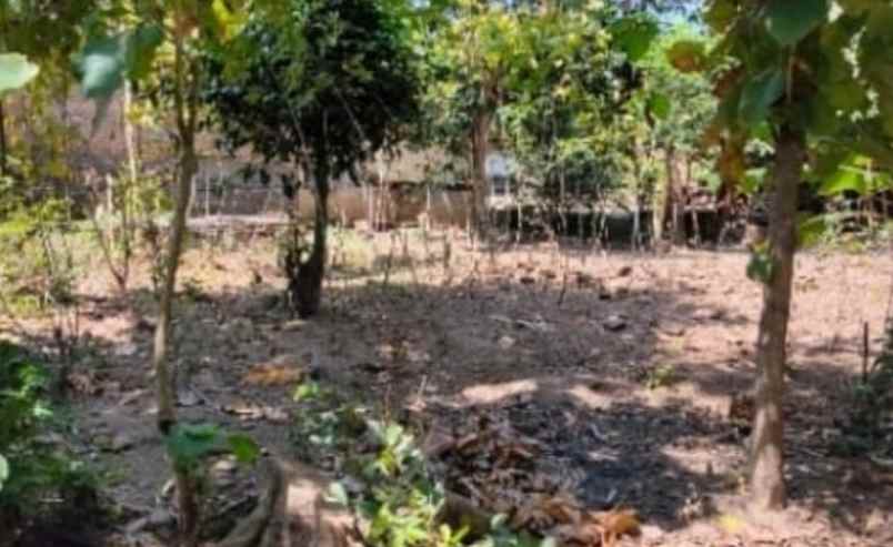 tanah datar strategis jaten karanganyar