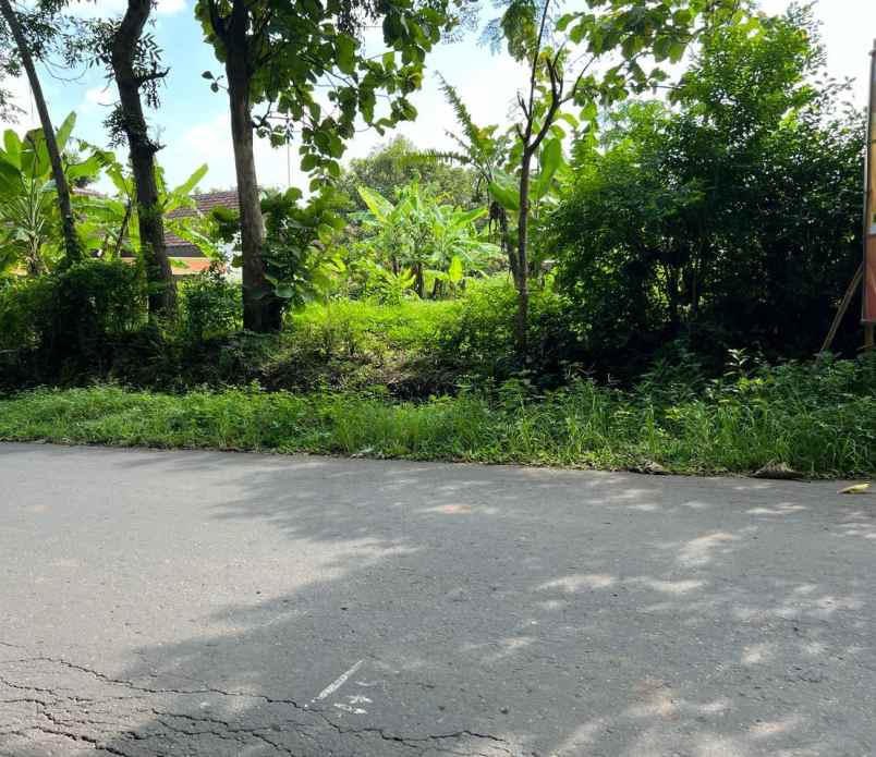 tanah datar tepi jl raya kerjo sambirejo