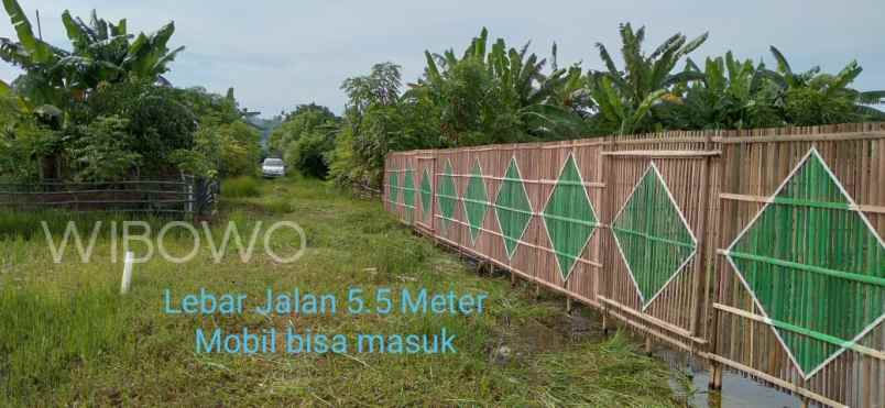 tanah desa telukawur kec tahunan