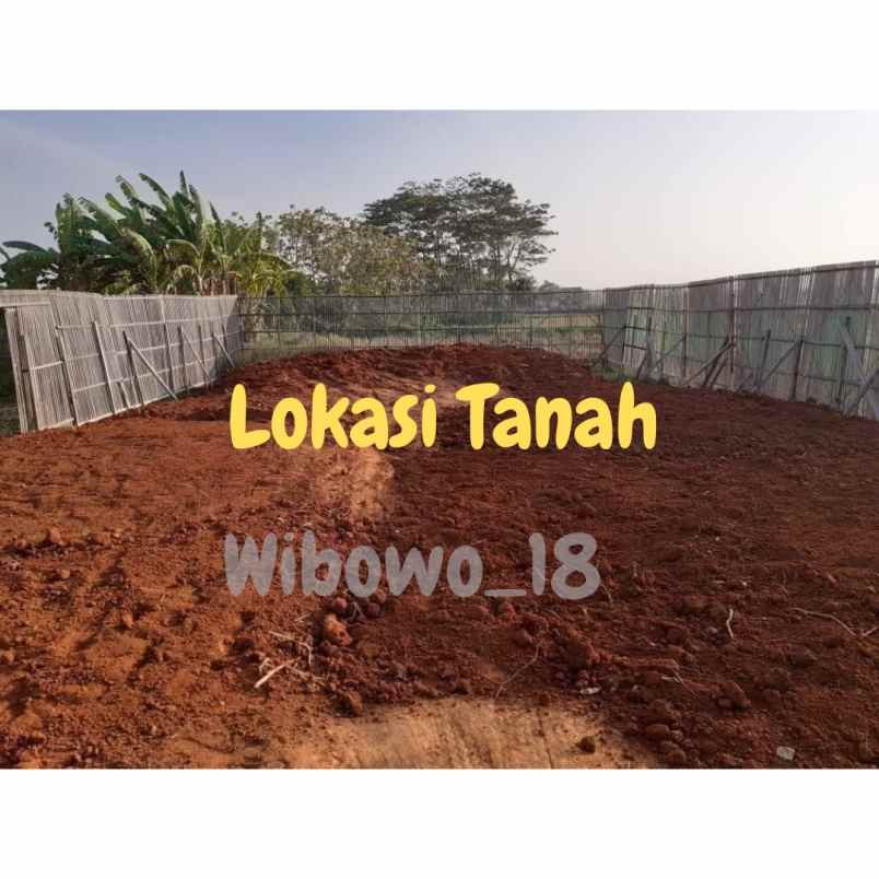 tanah desa telukawur kec tahunan