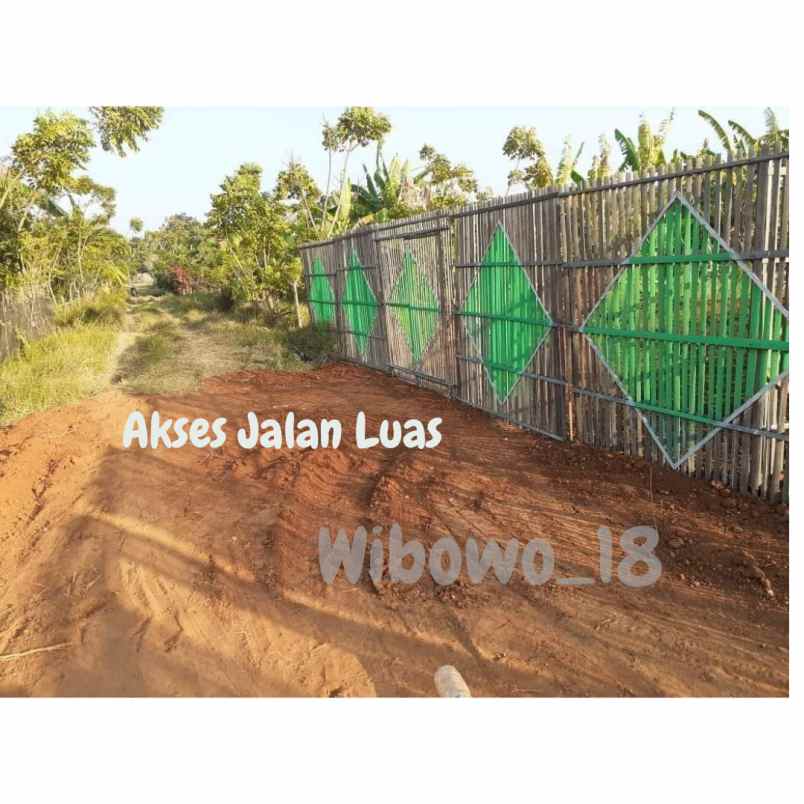 tanah desa telukawur kec tahunan