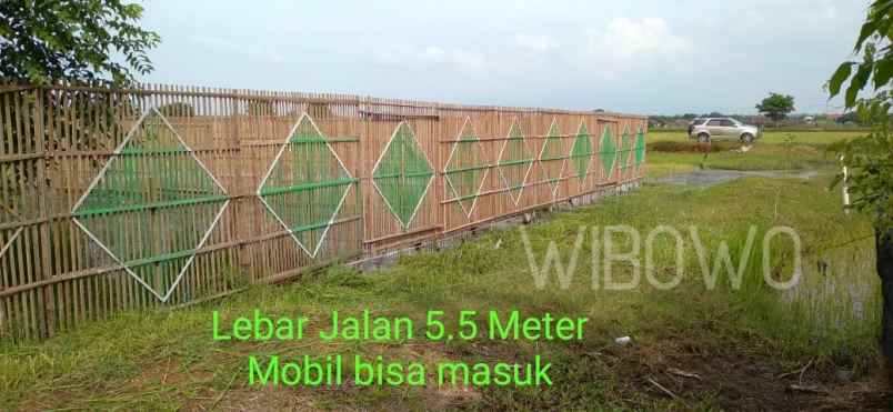 tanah desa telukawur kec tahunan