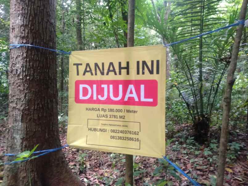 tanah dijual cepat shm