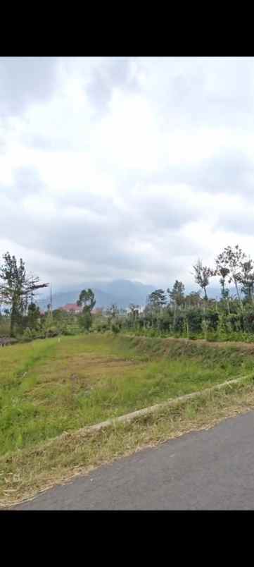 tanah dijual cocok buat vila apa rm pribadi