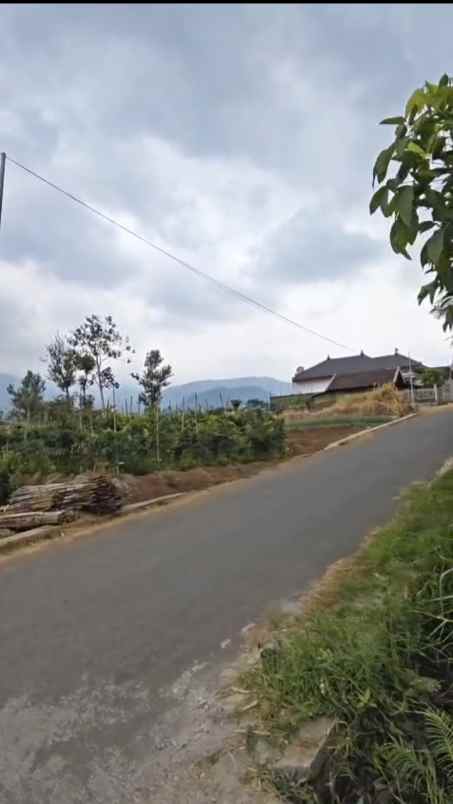 tanah dijual cocok buat vila apa rm pribadi