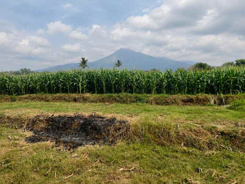 tanah istimewa view gunung 1770m2 karanganyar