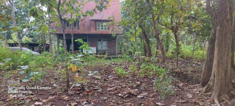 tanah kavling rumah villa yogyakarta