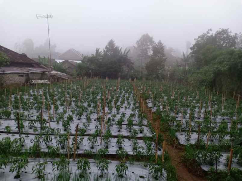 tanah kawasan wisata alam
