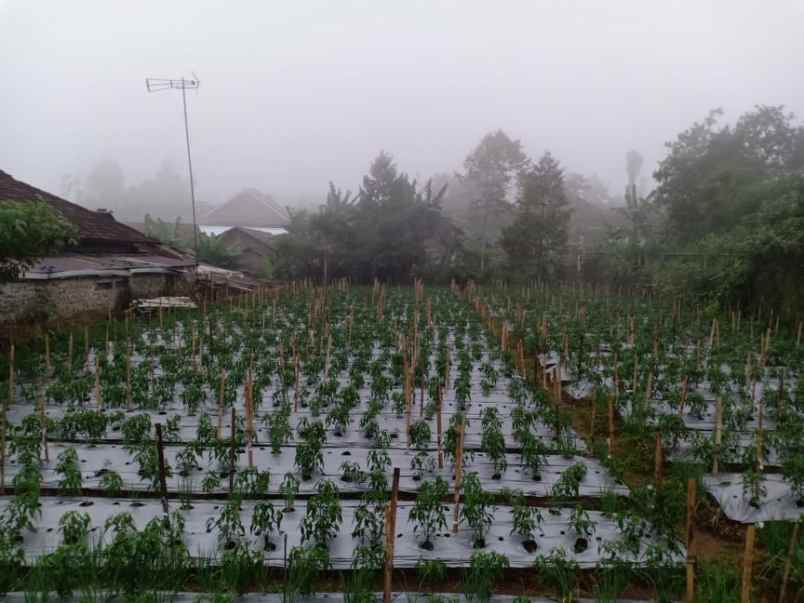 tanah kawasan wisata alam