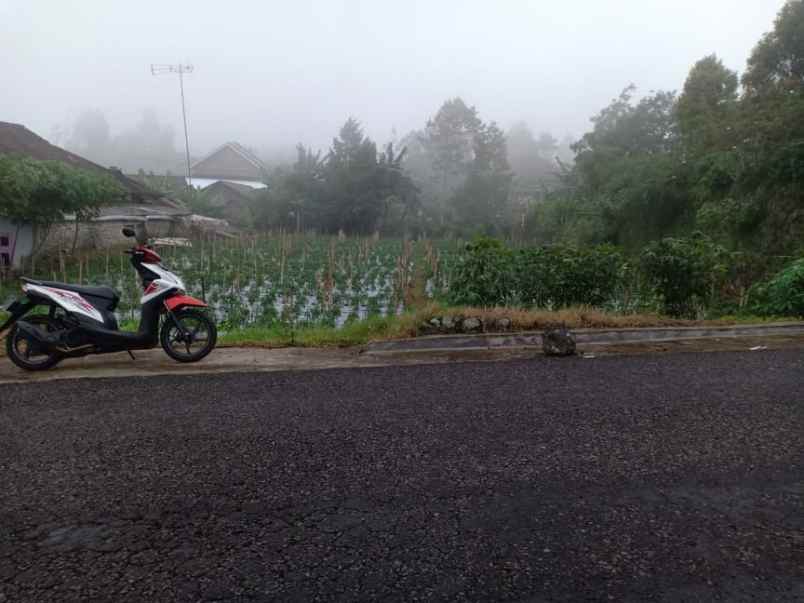 tanah kawasan wisata alam