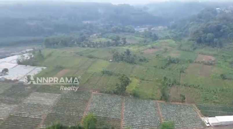 tanah kebun 3hektar di rancabungur bogor uun