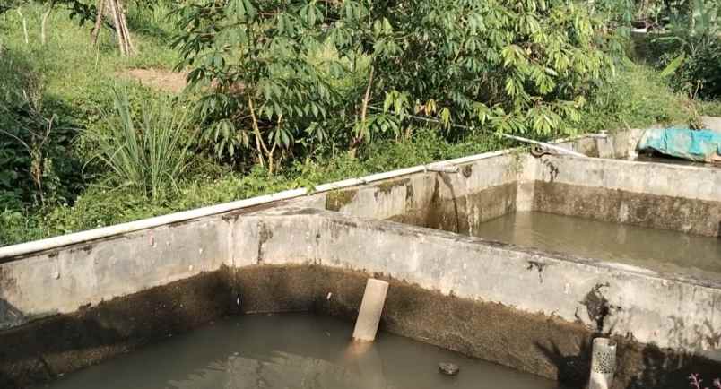tanah kebun produktif dekat sungai sagalaherang subang