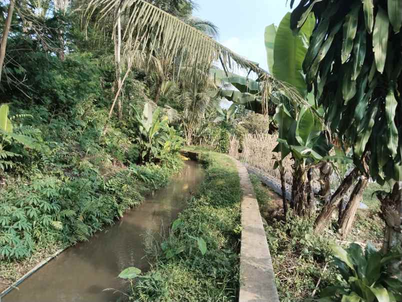 tanah kebun produktif dekat sungai sagalaherang subang