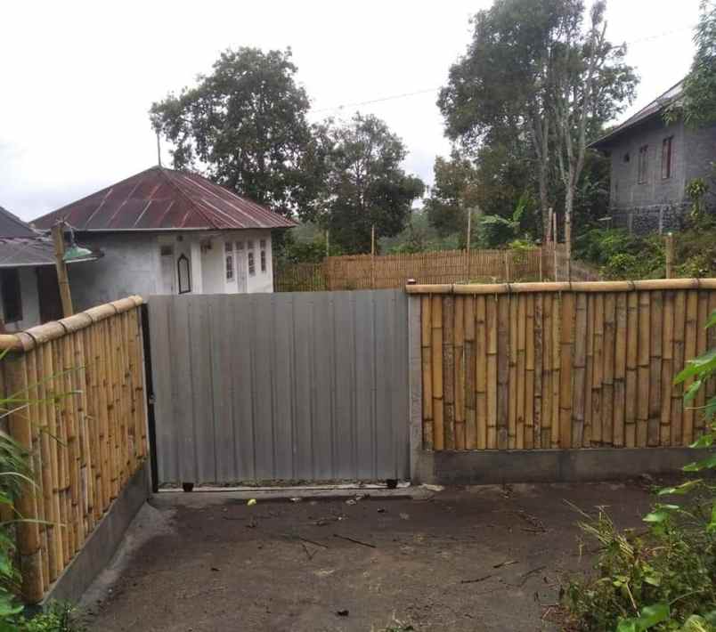 tanah kebun view jungle di kintamani bali