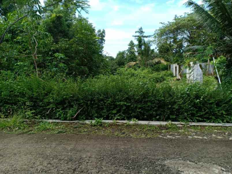 tanah mojogedang karanganyar